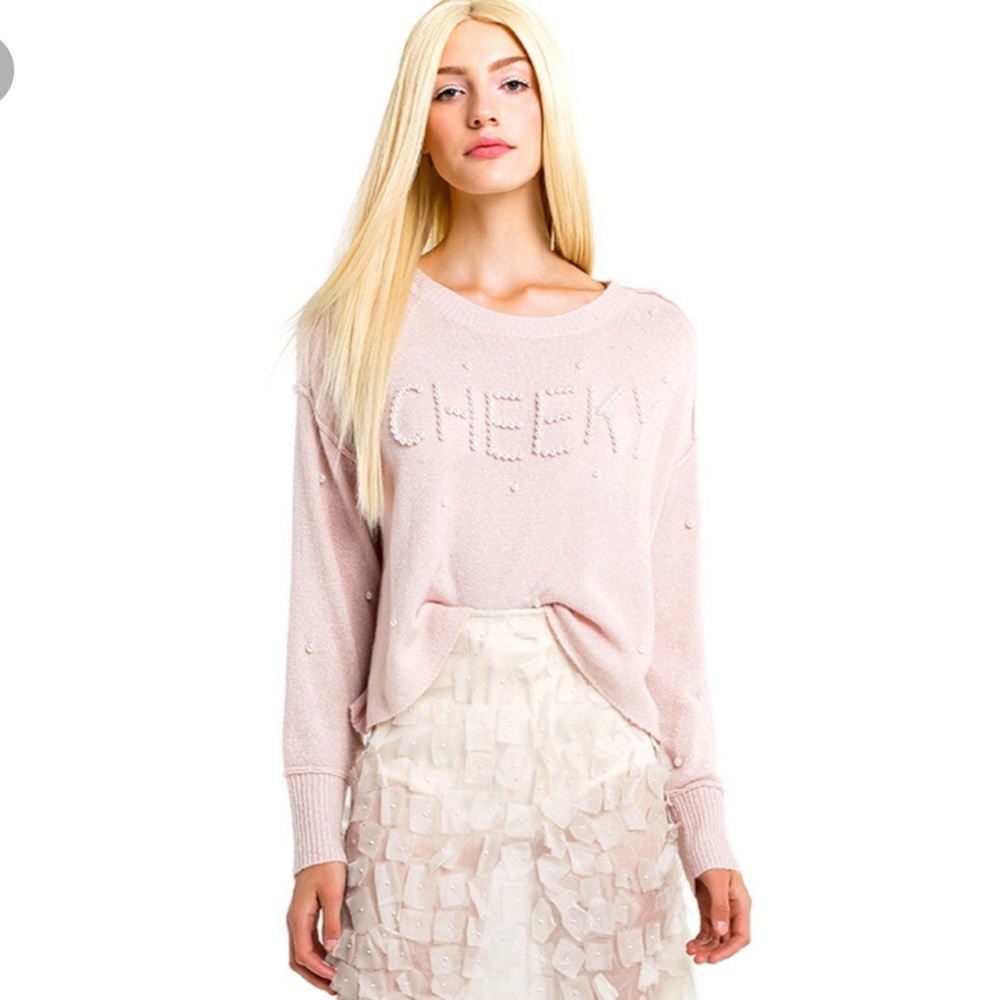 wildfox cheeky sweater sz S
